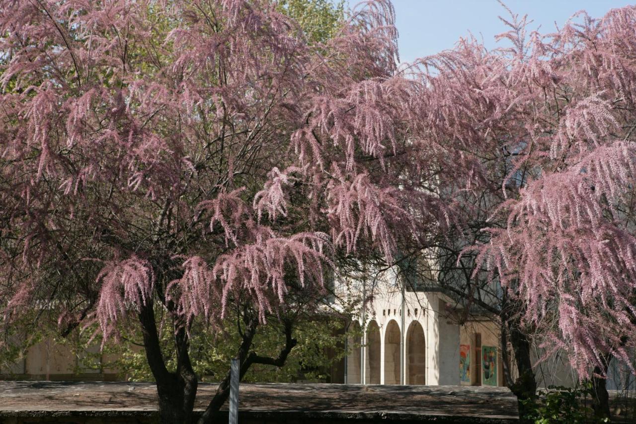 Hotel Des Oliviers 莱旺 外观 照片